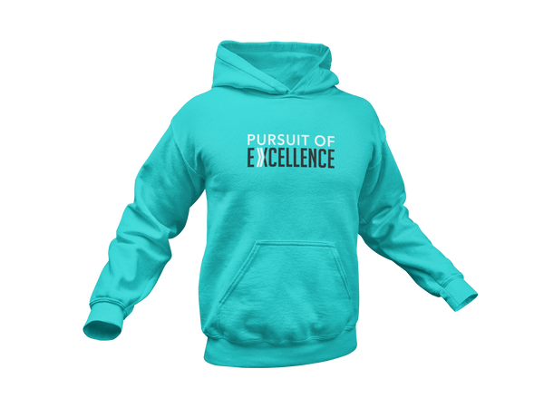 Pursuit of Excellence: Hoodie